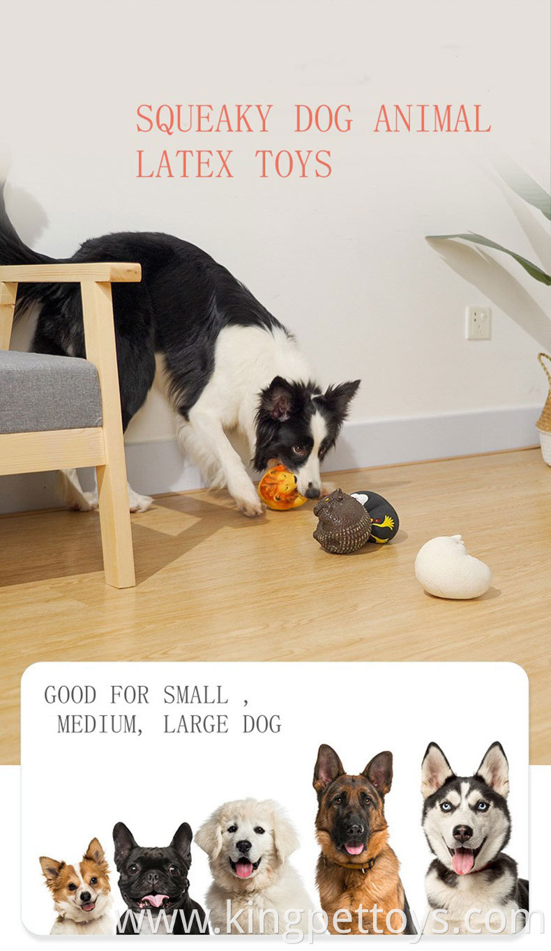 Squeaky Pet Ball Toy